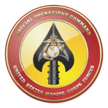 USMC Special Operations Command (MARSOC) [3D]