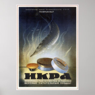 USSR Soviet Sturgeon Caviar Advertising 1952 Poster