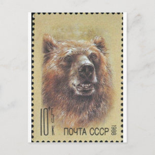 USSR ~ Stamp  Russian Bear Postcard