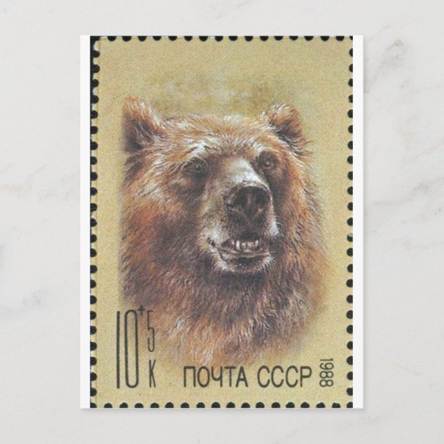 USSR ~ Stamp  Russian Bear Postcard (Front)