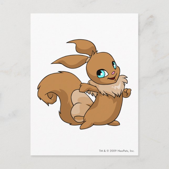 Usul Brown Postcard (Front)