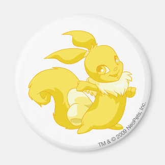 Usul Gold Magnet