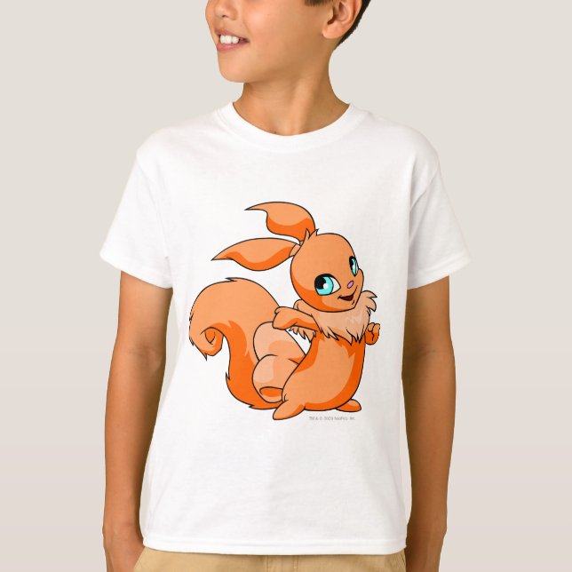 Usul Orange T-Shirt (Front)