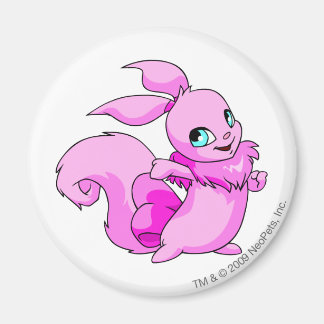 Usul Pink Magnet