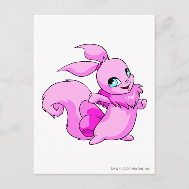 Usul Pink Postcard (Front)