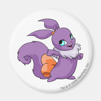 Usul Purple Magnet