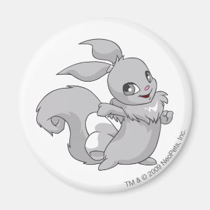 Usul Silver Magnet