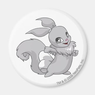 Usul Silver Magnet