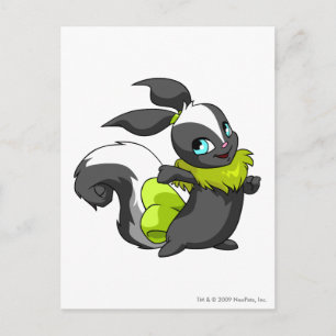 Usul Skunk Postcard