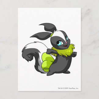 Usul Skunk Postcard