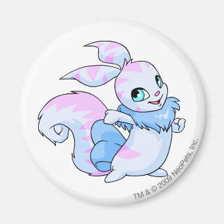 Usul Striped Magnet