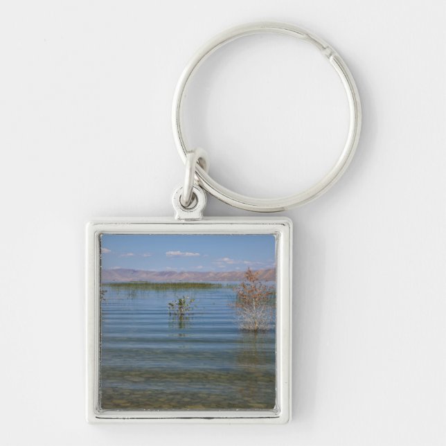 UT, Bear Lake Key Ring (Front)