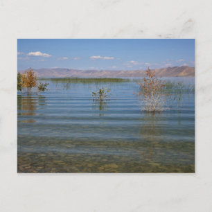 UT, Bear Lake Postcard
