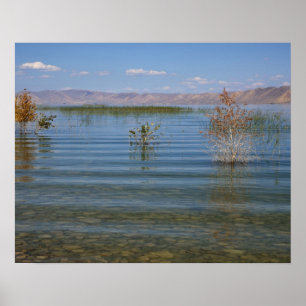 UT, Bear Lake Poster