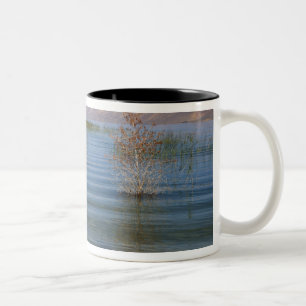 UT, Bear Lake Two-Tone Coffee Mug