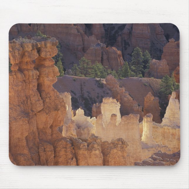 Utah, Bryce Canyon National Park. Hoodoos, Mouse Mat (Front)