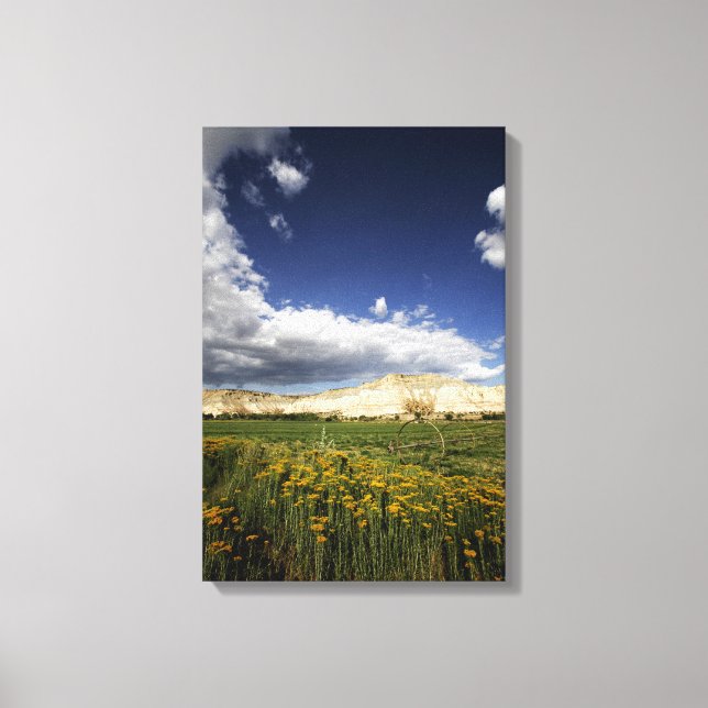 Utah Canvas Print (Front)