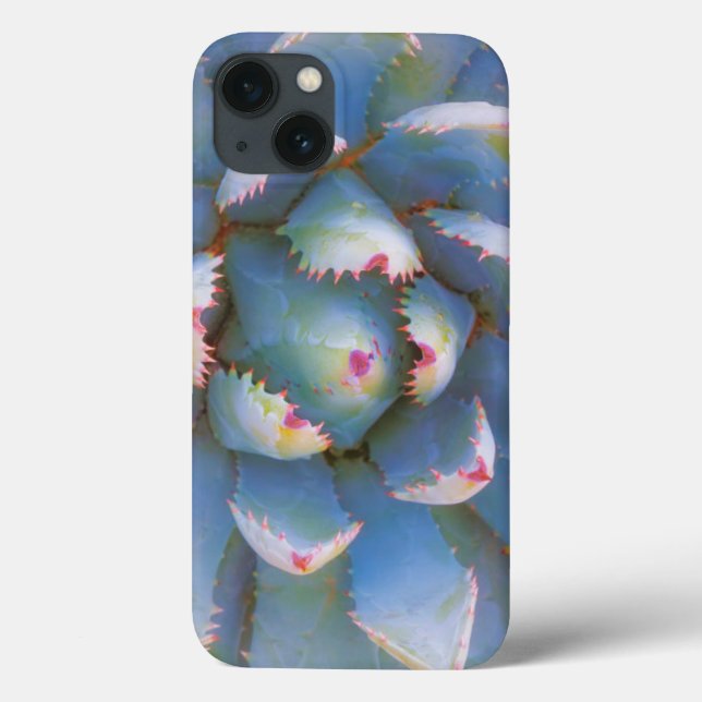 Utah, Dixie National Forest. Close-up of yucca Case-Mate iPhone Case (Back)