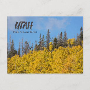Utah Dixie National Forest Postcard