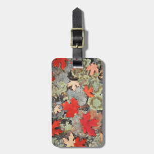 Utah, Fishlake National Forest. Patterns Luggage Tag