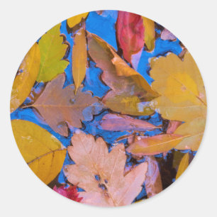 Utah, Glen Canyon National Recreation Area 2 Classic Round Sticker