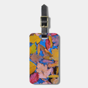 Utah, Glen Canyon National Recreation Area 2 Luggage Tag