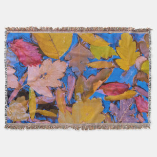 Utah, Glen Canyon National Recreation Area 2 Throw Blanket