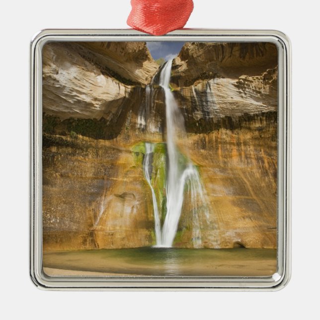 Utah, Grand Staircase Escalante NM, Lower Calf Metal Tree Decoration (Front)