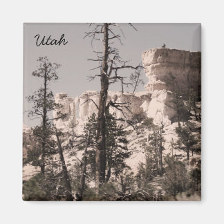 Utah Magnet