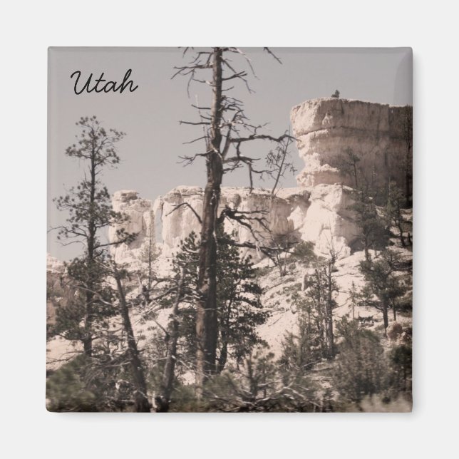 Utah Magnet (Front)