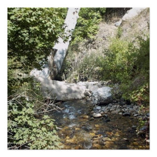 Utah Nature Photo Poster