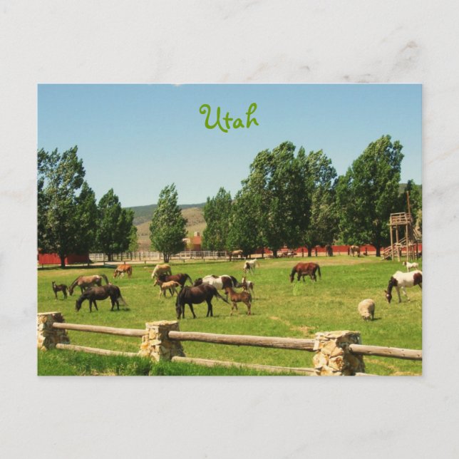Utah Postcard (Front)