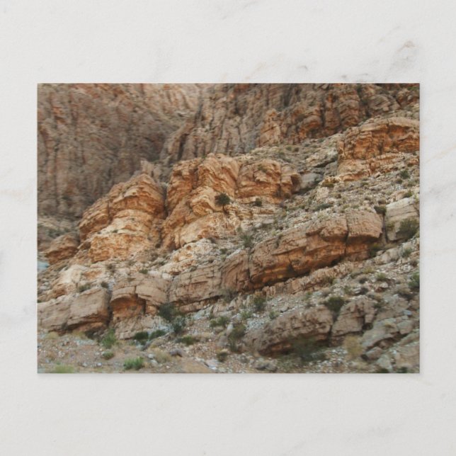 Utah Postcard (Front)