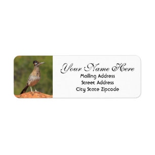 Utah Roadrunner Return Address