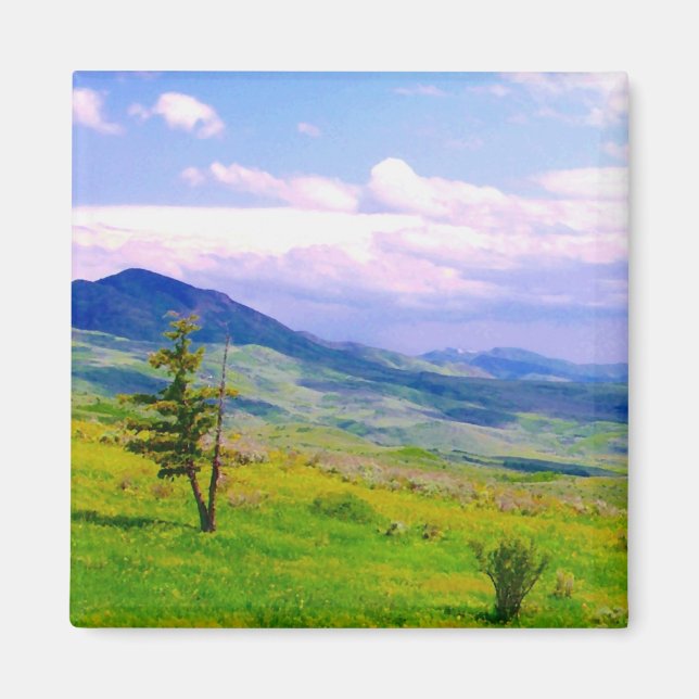 Utah Scenic View Magnet (Front)
