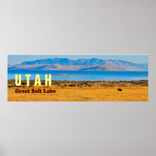 UTAH  The Great Salt Lake State Poster
