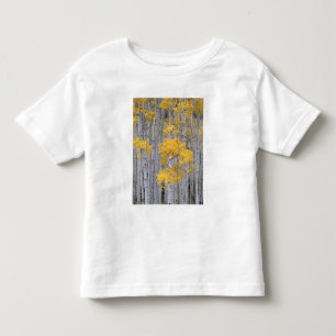 UTAH. USA. Aspen grove (Populus tremuloides) in Toddler T-Shirt