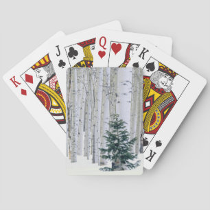UTAH. USA. Aspen (Populus tremuloides) & Douglas Playing Cards
