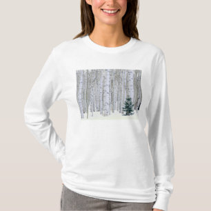 UTAH. USA. Aspen (Populus tremuloides) & Douglas T-Shirt