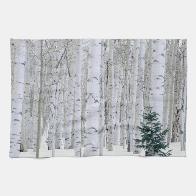 UTAH. USA. Aspen (Populus tremuloides) & Douglas Tea Towel (Horizontal)