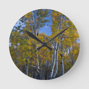 Utah. USA. Aspen Trees And Moon At Dusk Round Clock