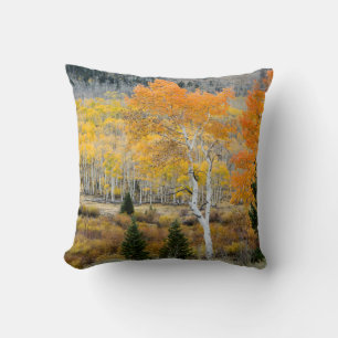 Utah, USA. Aspen Trees And Willow Thickets Cushion