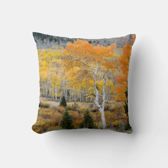 Utah, USA. Aspen Trees And Willow Thickets Cushion (Front)