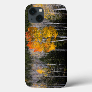 Utah, USA. Aspen Trees (Populus Tremuloides) 2 iPhone 13 Case