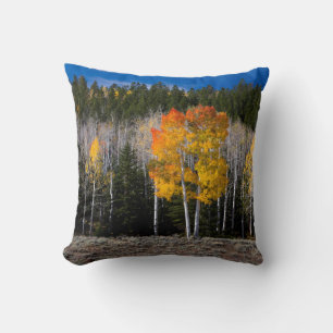 Utah, USA. Aspen Trees (Populus Tremuloides) 2 Cushion