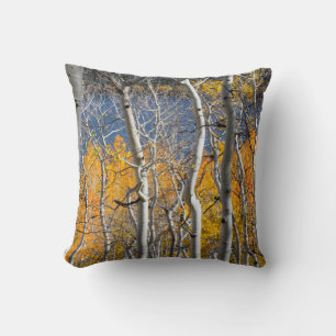 Utah, USA. Aspen Trees (Populus Tremuloides) Cushion