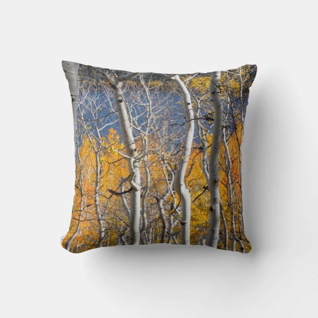 Utah, USA. Aspen Trees (Populus Tremuloides) Cushion (Front)