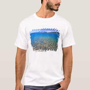 UTAH. USA. Clear water of Bear Lake reveals T-Shirt