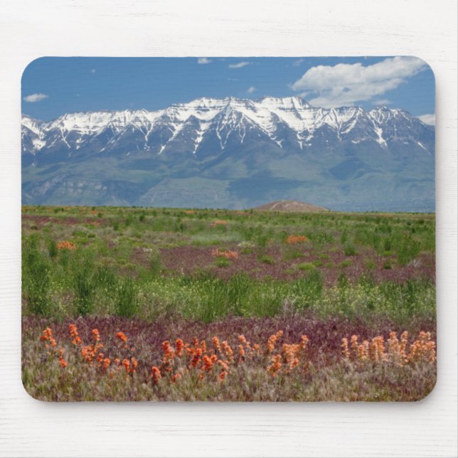 Utah, USA. Mt. Timpanogos Rises Above Mouse Mat (Front)
