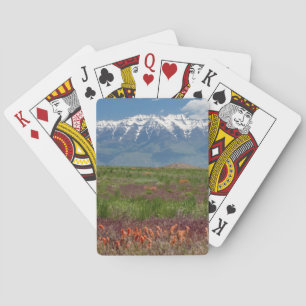 Utah, USA. Mt. Timpanogos Rises Above Playing Cards